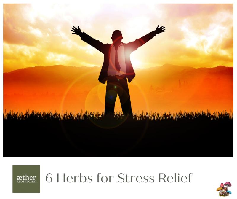 Silhouette of a man with outstretched arms against a sunset for natural stress relief.